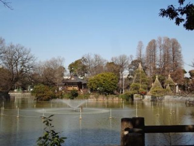 🌳 히몬야 공원(히몬야코엔) 이미지 3